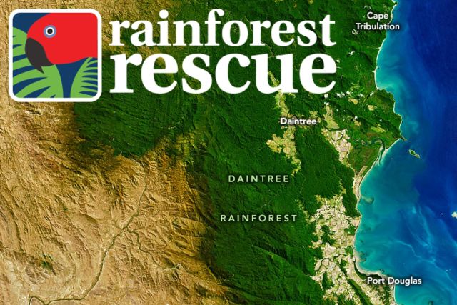 Position One Property and Rainforest Rescue partnership